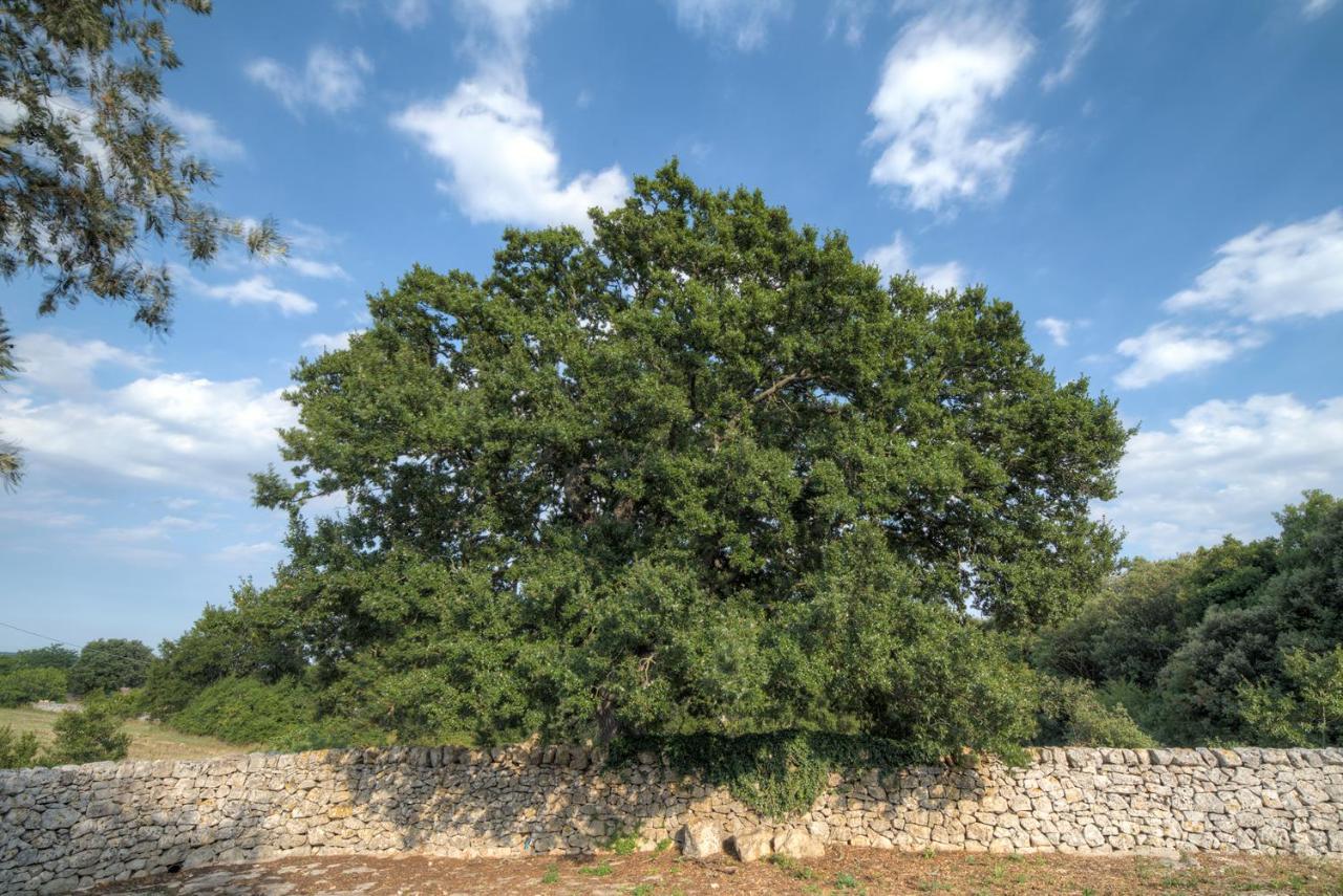 Trulli Capo Di Lupo By Rentbeat Villa ชิสแตร์นีโน ภายนอก รูปภาพ
